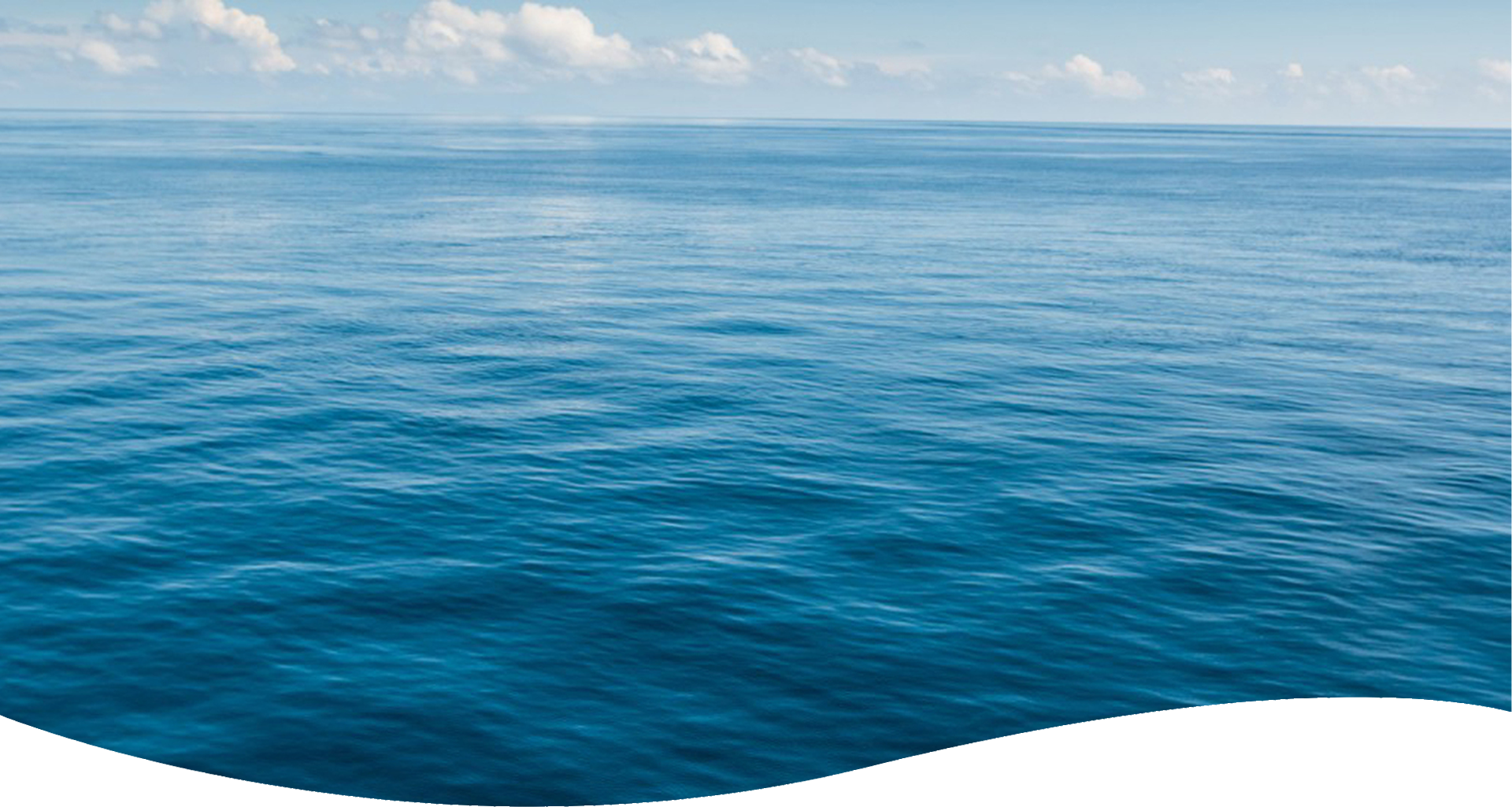 header_bacground